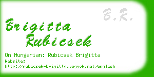 brigitta rubicsek business card